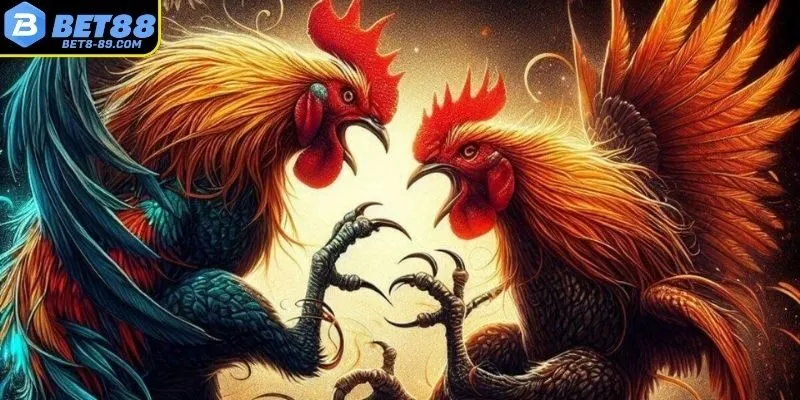 Dựa vào thực tế, tránh cảm tính cá nhân